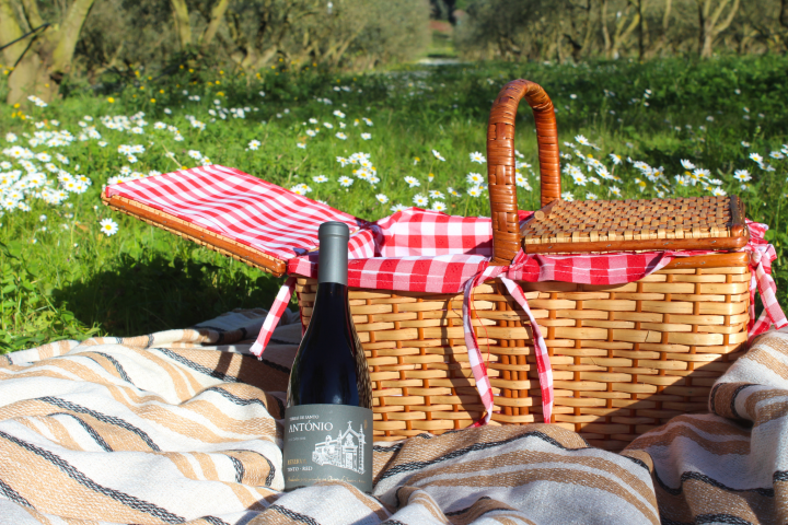Olive Grove & Olive Oil Press Experience with picnic