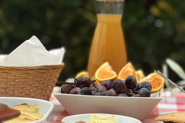 olive oil tour and picnic