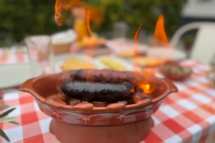 olive oil tour and picnic