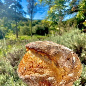 Guincho Bread Workshop
