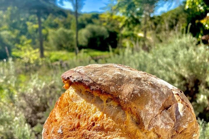 Guincho Bread Workshop
