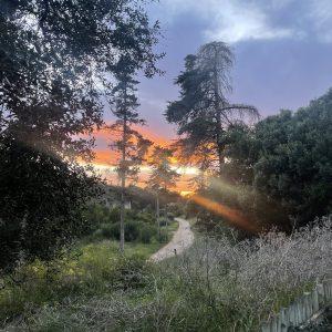 Guincho Bread Workshop