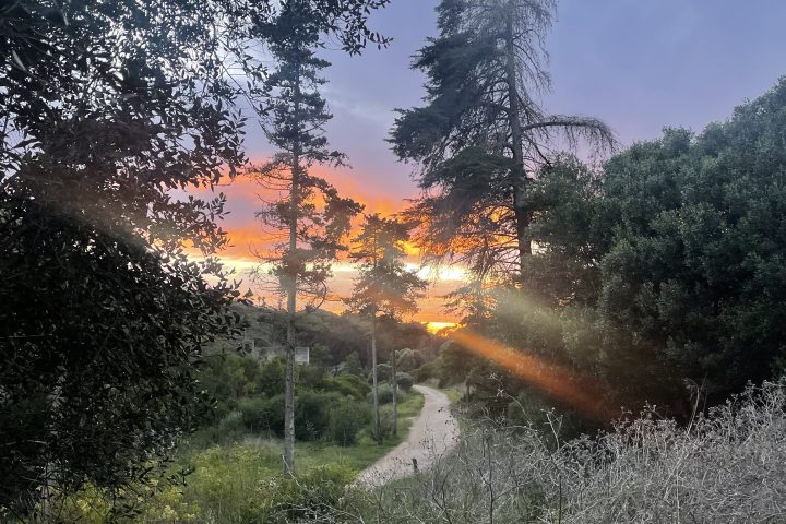 Guincho Bread Workshop