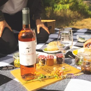 Lisbon Picnic Winery