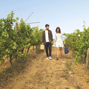 Lisbon Picnic Winery