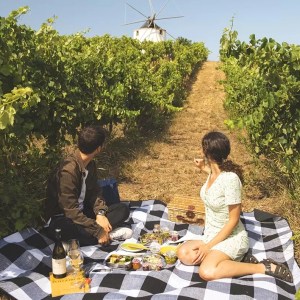 Lisbon Picnic Winery