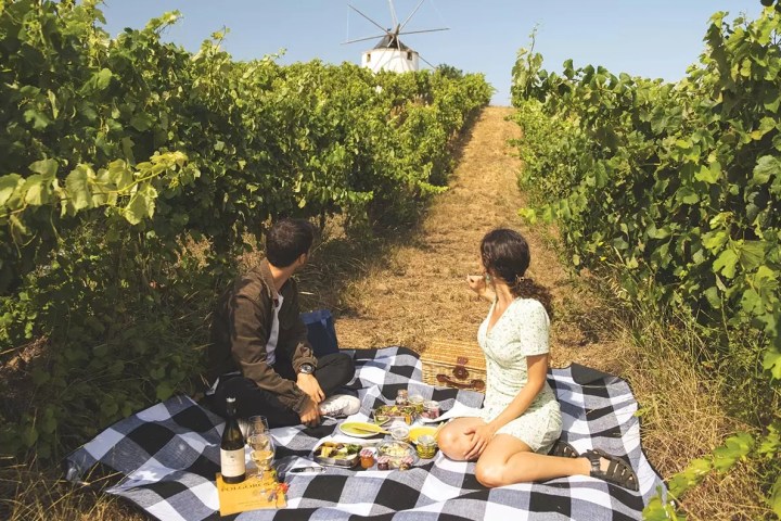 Lisbon Picnic Winery