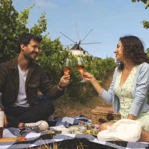 Lisbon Picnic Winery