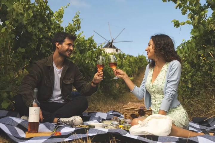 Lisbon Picnic Winery