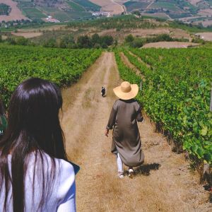 lisbon Winemaker experience