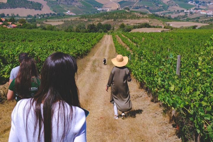 lisbon Winemaker experience