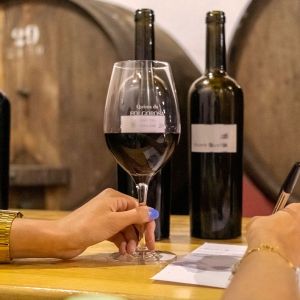 lisbon Winemaker experience