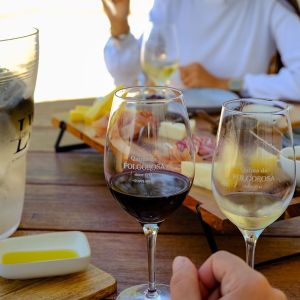 lisbon Winemaker experience