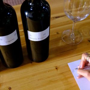 lisbon Winemaker experience