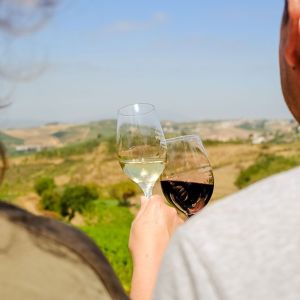 lisbon Winemaker experience