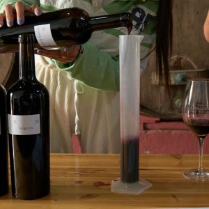 lisbon Winemaker experience