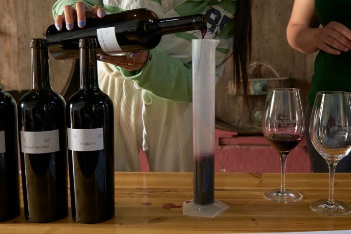 lisbon Winemaker experience