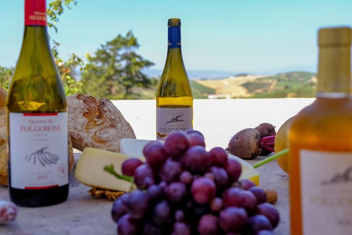 lisbon wine premium tour