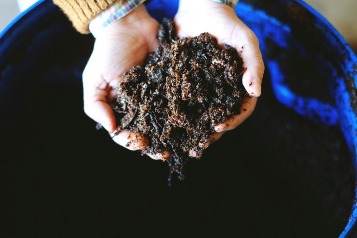 Grape harvest tour in Évora
