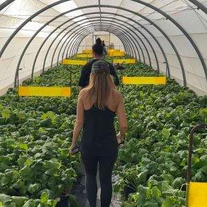 madeira farm to table tour