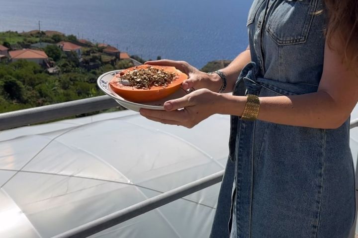 madeira farm to table tour