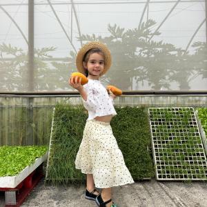 madeira farm to table tour