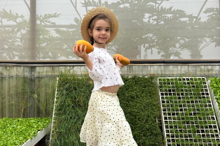 madeira farm to table tour