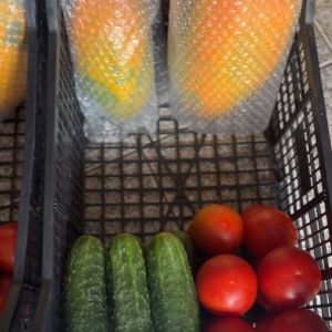 madeira farm to table tour