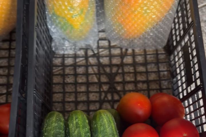 madeira farm to table tour