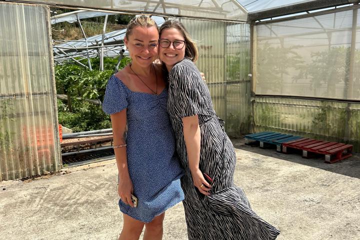 madeira farm to table tour