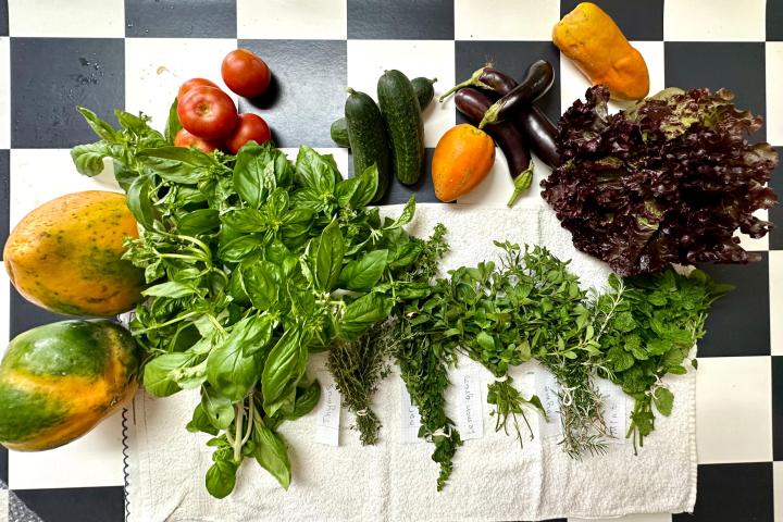 madeira farm to table tour