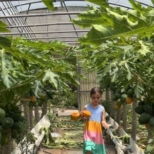madeira farm to table tour