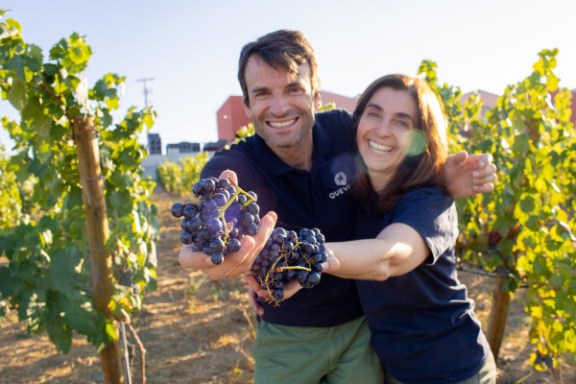 douro grape harvest tour