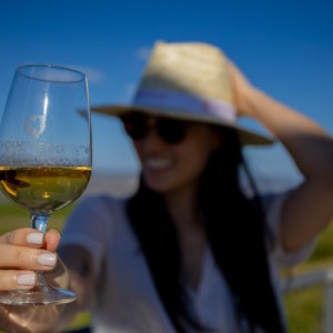 douro grape harvest tour