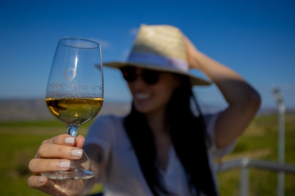 douro grape harvest tour