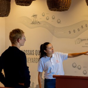 douro grape harvest tour