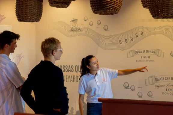 douro grape harvest tour