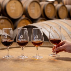 douro grape harvest tour