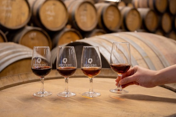 douro grape harvest tour