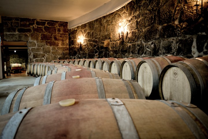 viseu grape harvest experience