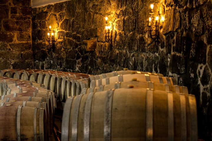 viseu grape harvest experience