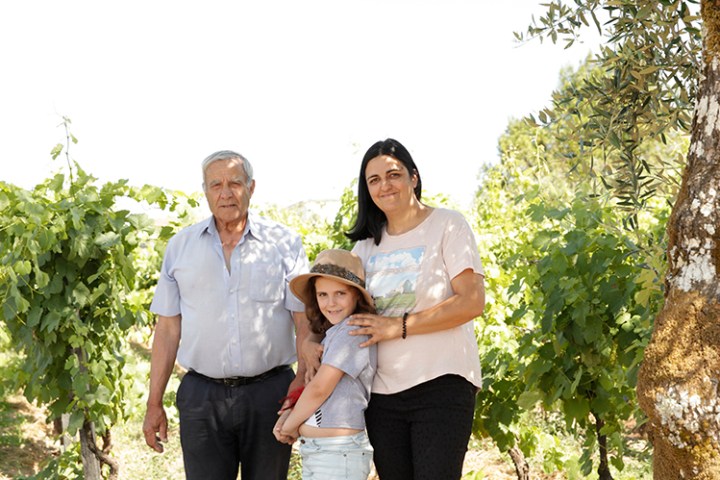 viseu grape harvest experience