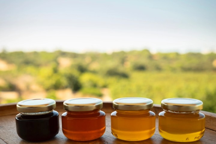 Algarve beekeeping experience