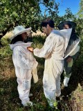 Algarve beekeeping experience