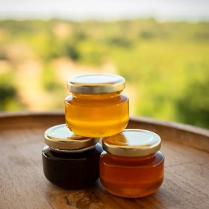 Algarve beekeeping experience