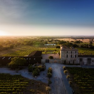 Évora wine tasting tour