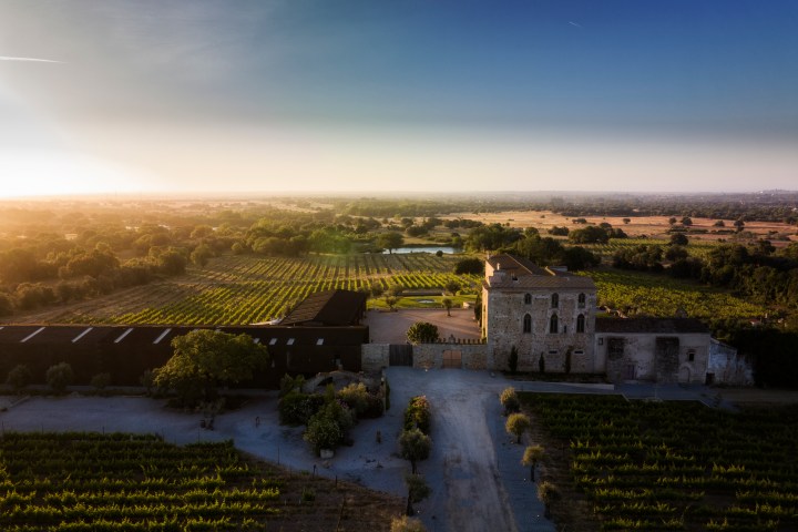 Évora wine tasting tour