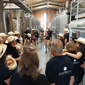 Évora wine tasting tour