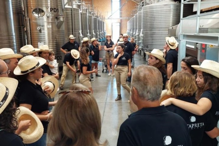 Évora wine tasting tour