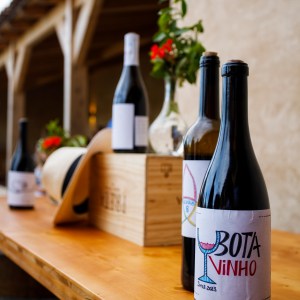 Évora wine tasting tour